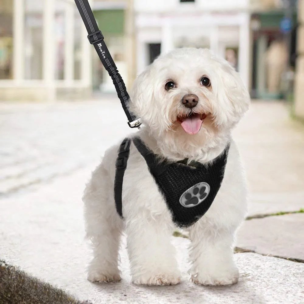 Dog Harness And Seatbelt Combo