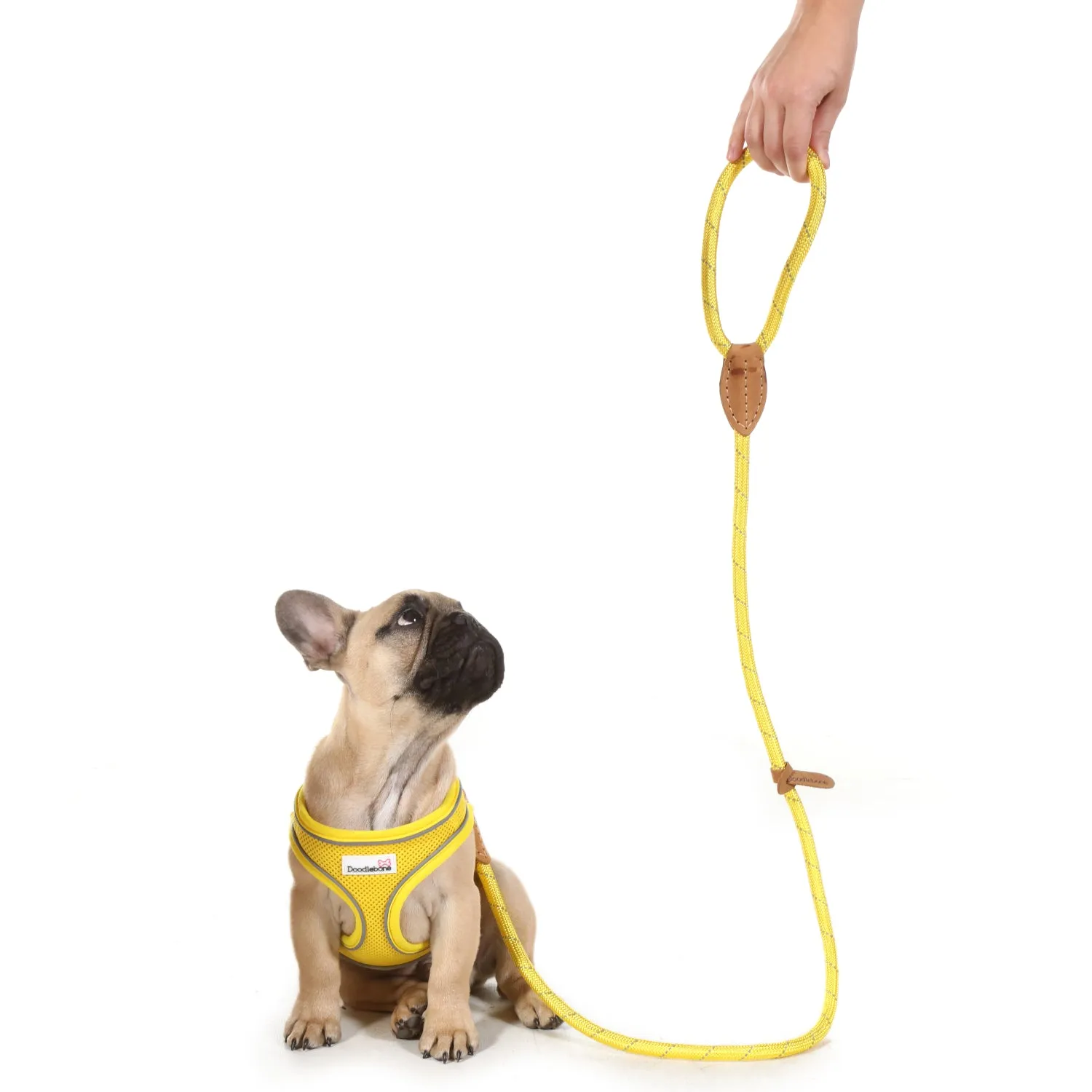 Doodlebone Originals Rope Lead 1.2m Sunshine