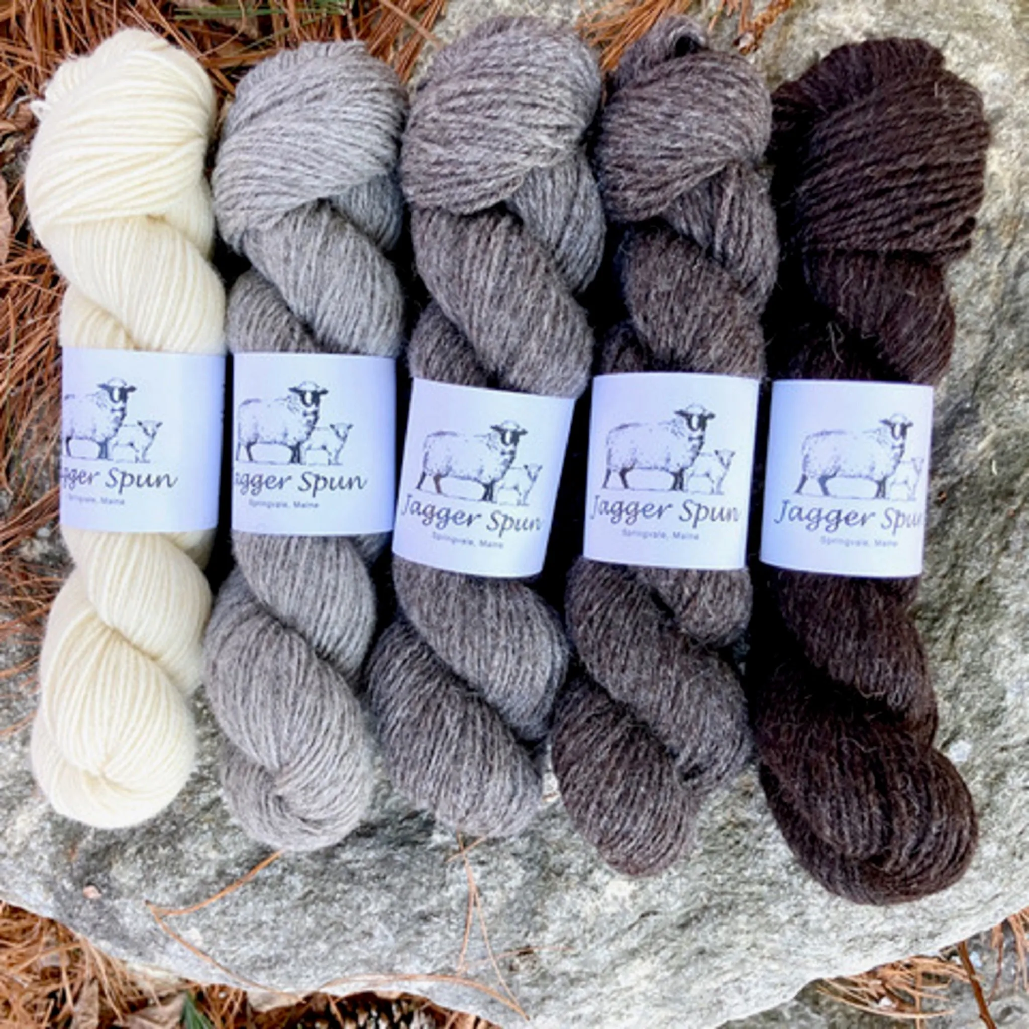 Jagger Spun Black Welsh and Dorset Horn Blends | Worsted Weight | 5 Skein Bundles