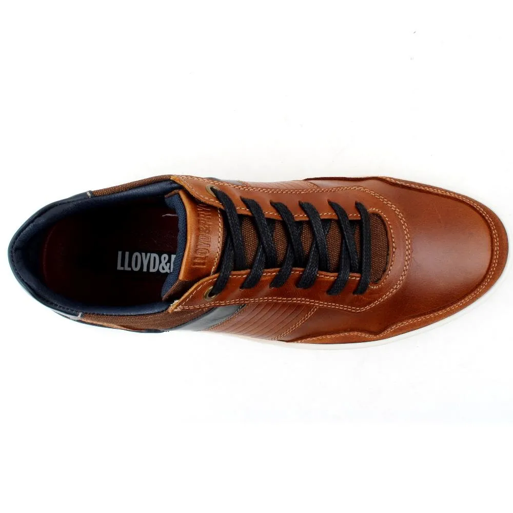 Lloyd & Pryce Tommy Bowe Shoes Ryan