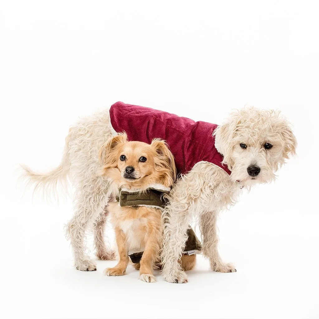 Modern Classic Dog Coat Merlot